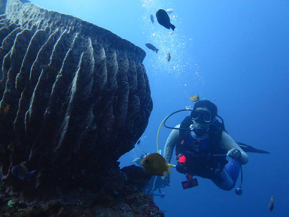 dive-safaris-2