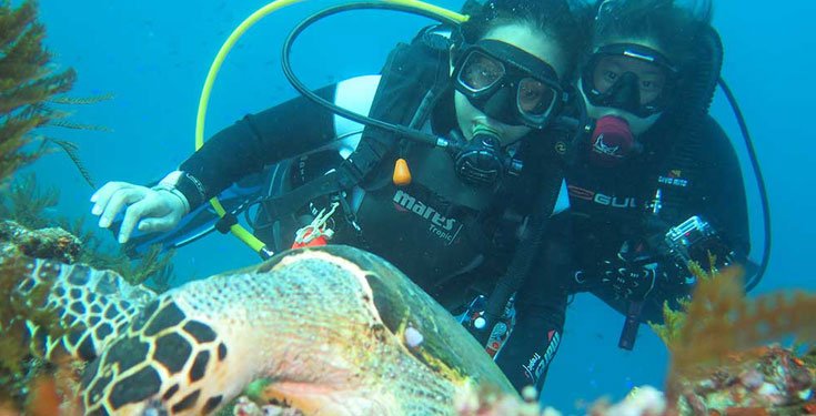 bali-dive-safari