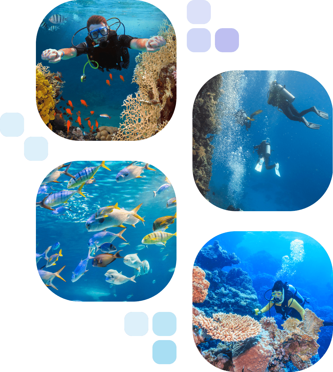 NUSA DUA SCUBA DIVE