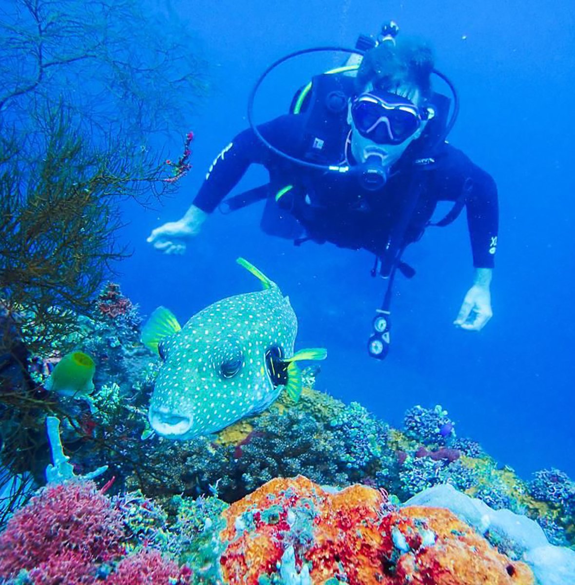 Dive trip Nusa Dua Bali